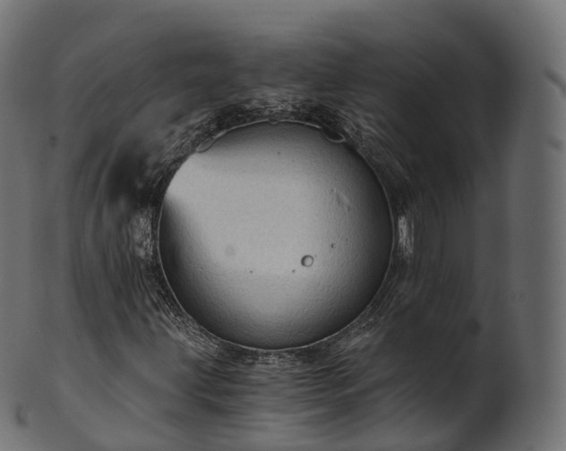 X0000101121203200807031755