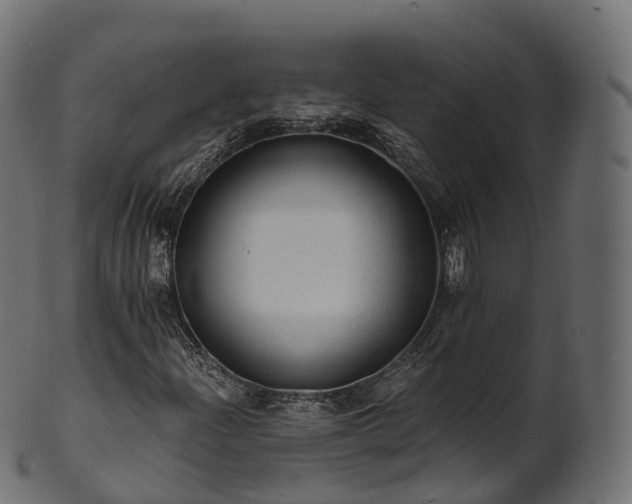 X0000101121204200807031755