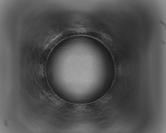 X0000101121205200807031756