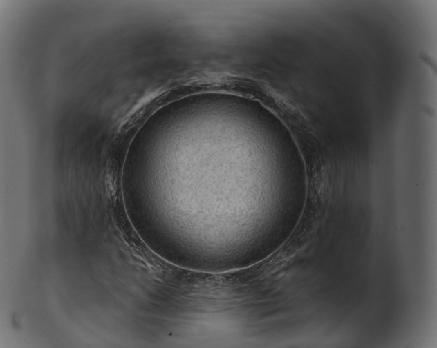 X0000101121206200807031756