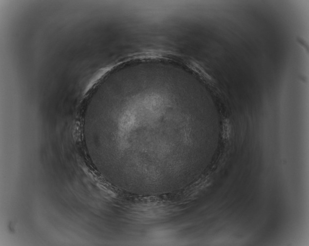X0000101121208200807031756
