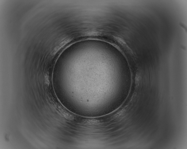 X0000101121209200807031756