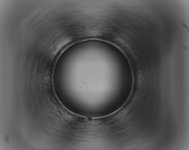 X0000101121210200807031756