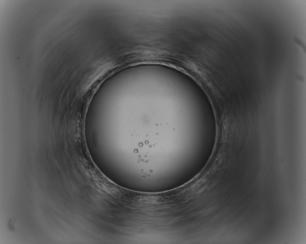 X0000101121211200807031756