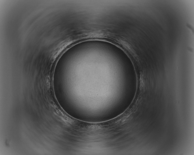 X0000101121212200807031756