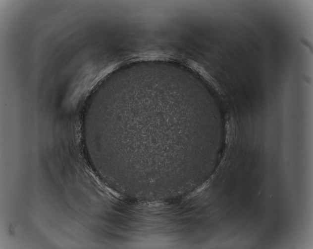 X0000101121213200807031756