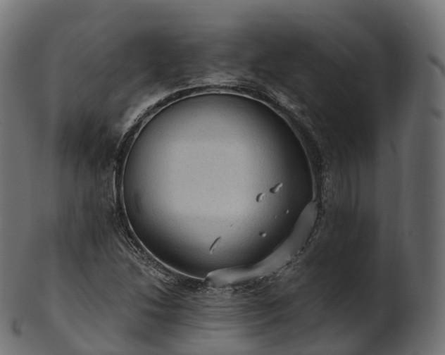 X0000101121214200807031756