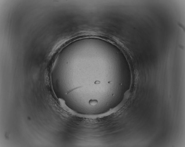 X0000101121215200807031756