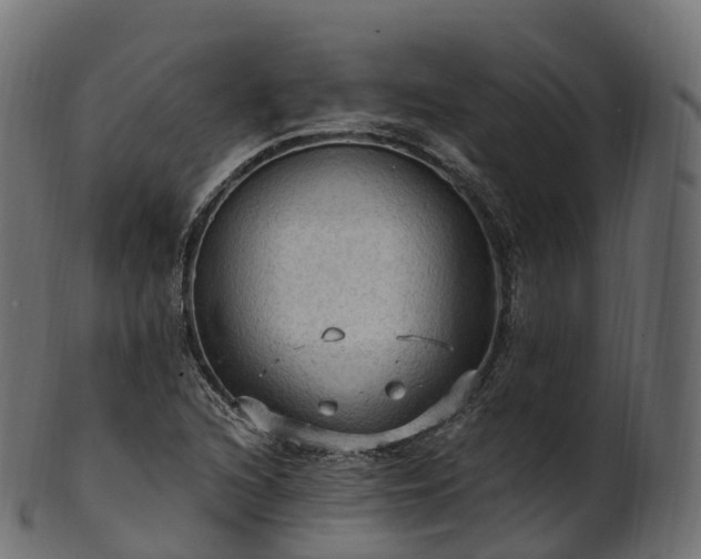 X0000101121216200807031756
