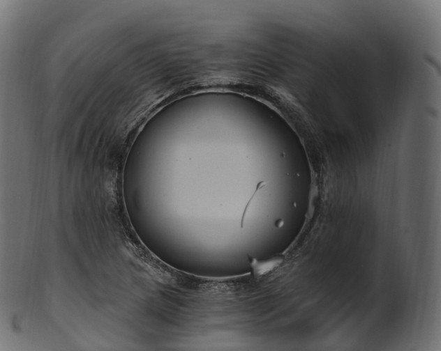 X0000101121217200807031756