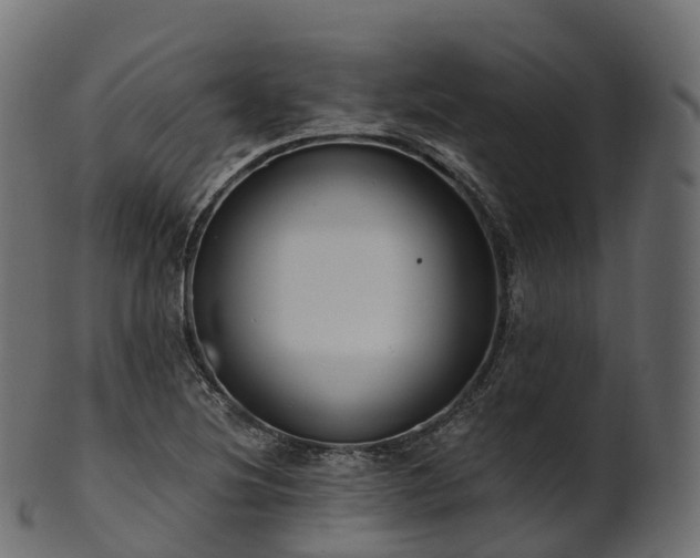 X0000101121220200807031756