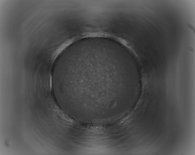 X0000101121221200807031756