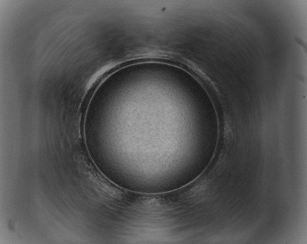 X0000101121222200807031756