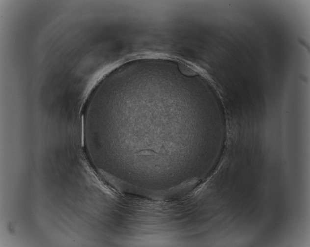 X0000101121223200807031756
