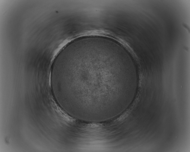 X0000101121224200807031756