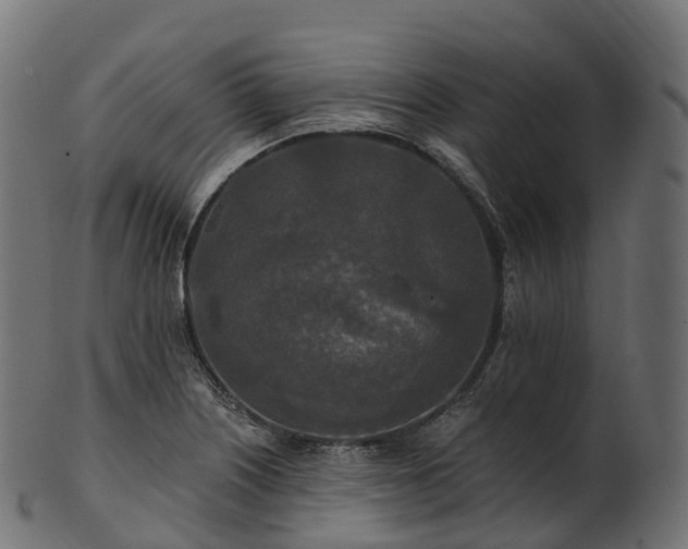 X0000101121226200807031756