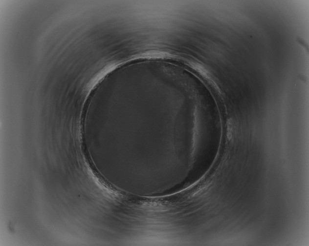 X0000101121229200807031756