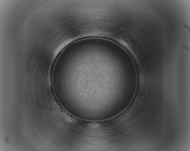 X0000101121230200807031756