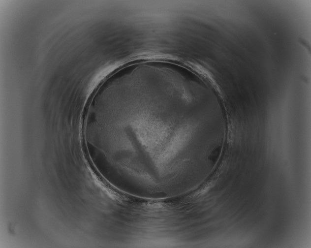 X0000101121231200807031756
