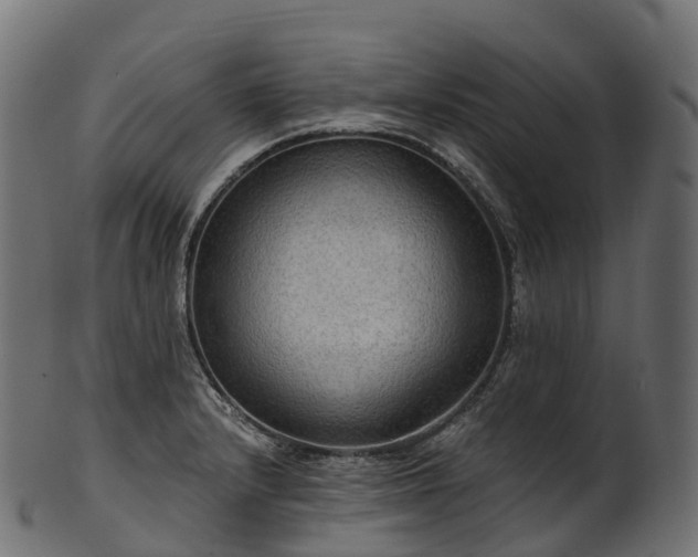 X0000101121232200807031756