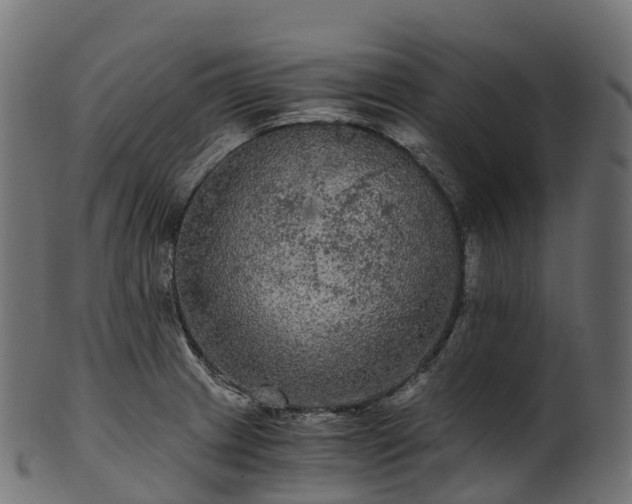 X0000101121233200807031756