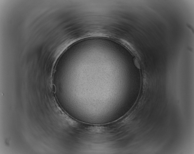 X0000101121236200807031756