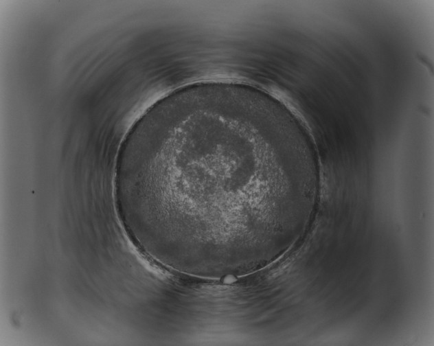 X0000101121237200807031756