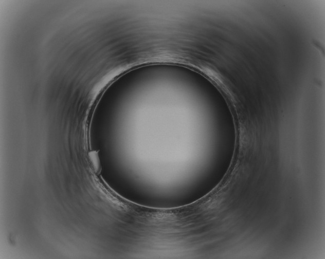 X0000101121238200807031756