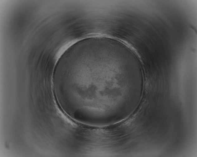 X0000101121239200807031756