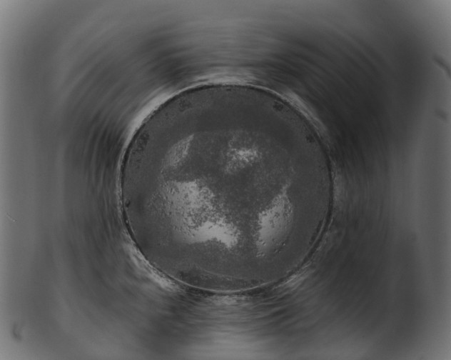 X0000101121240200807031756