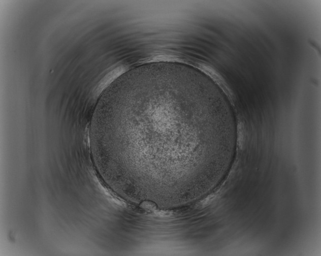 X0000101121241200807031756