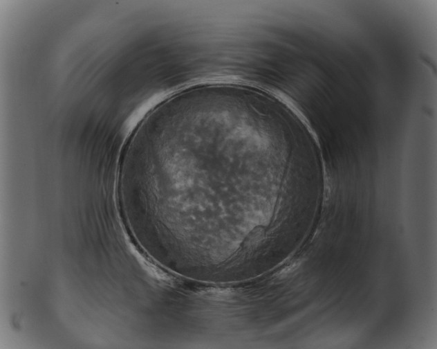 X0000101121245200807031756