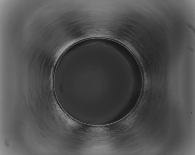X0000101121246200807031756