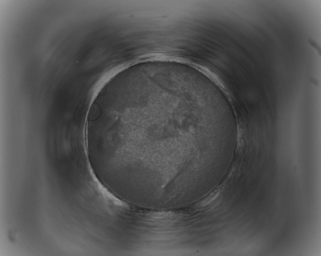 X0000101121247200807031756