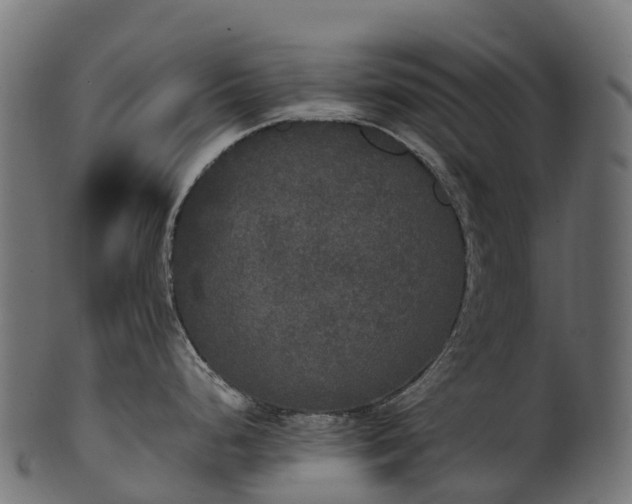 X0000101121248200807031756