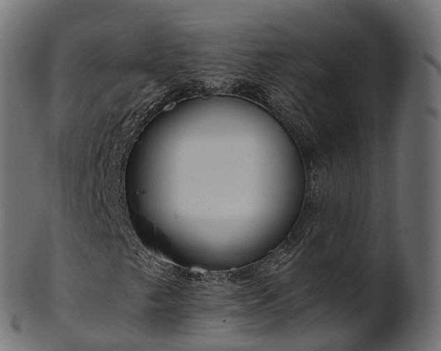 X0000101121249200807031755