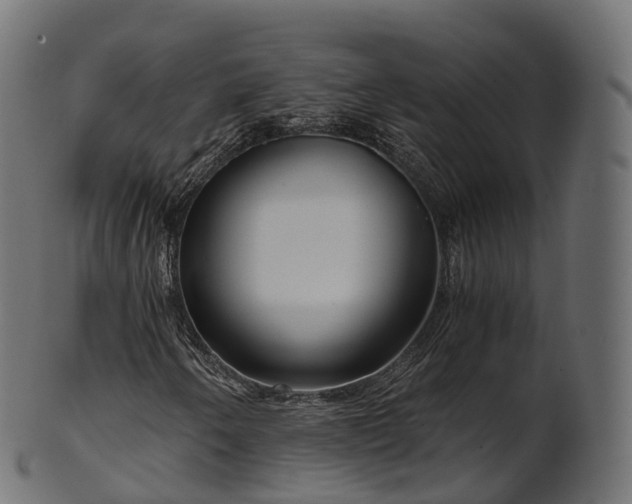 X0000101121250200807031755