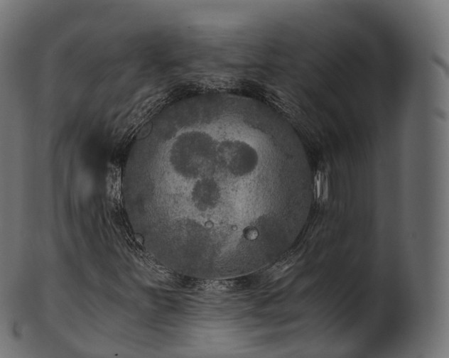 X0000101121251200807031755