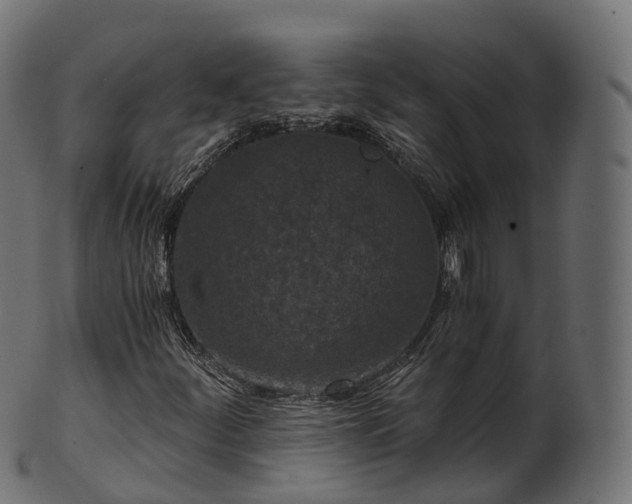 X0000101121252200807031755