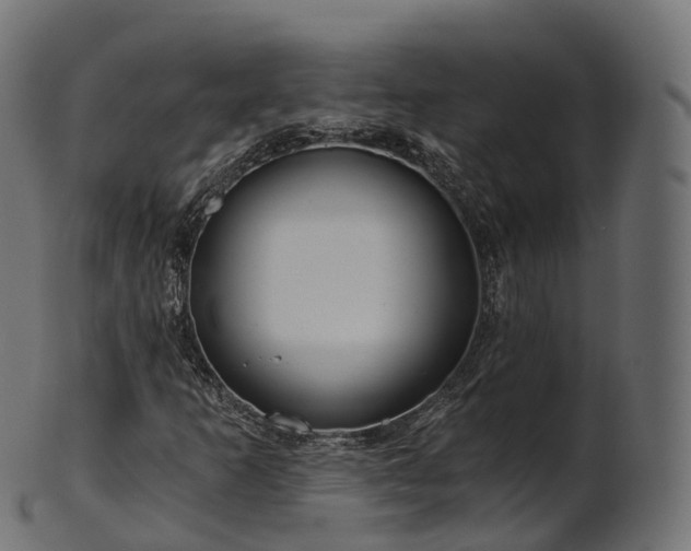 X0000101121253200807031755