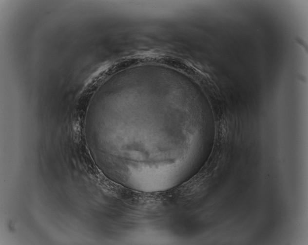 X0000101121254200807031755