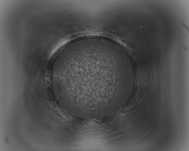 X0000101121255200807031755