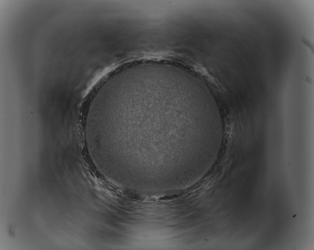 X0000101121256200807031755