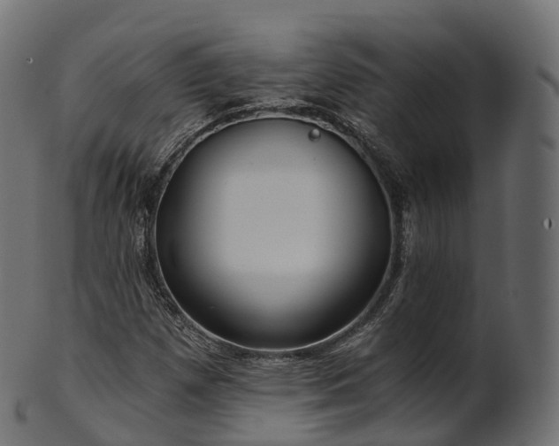 X0000101121257200807031755