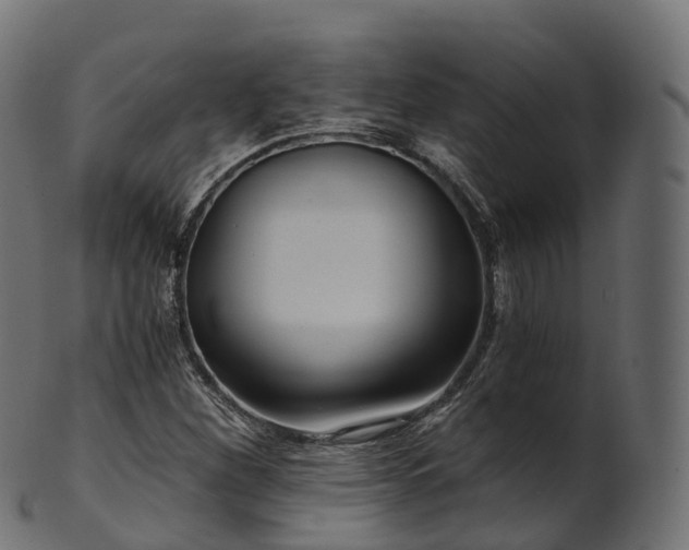 X0000101121260200807031755