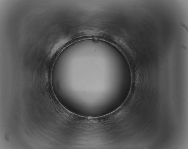 X0000101121261200807031755