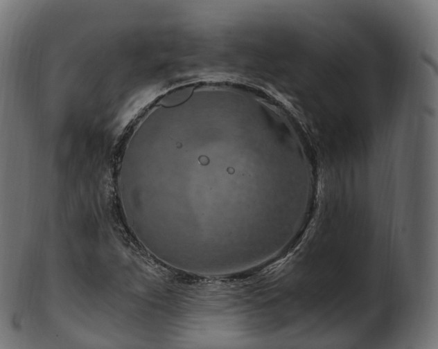 X0000101121263200807031755