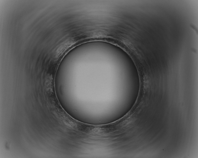 X0000101121265200807031755