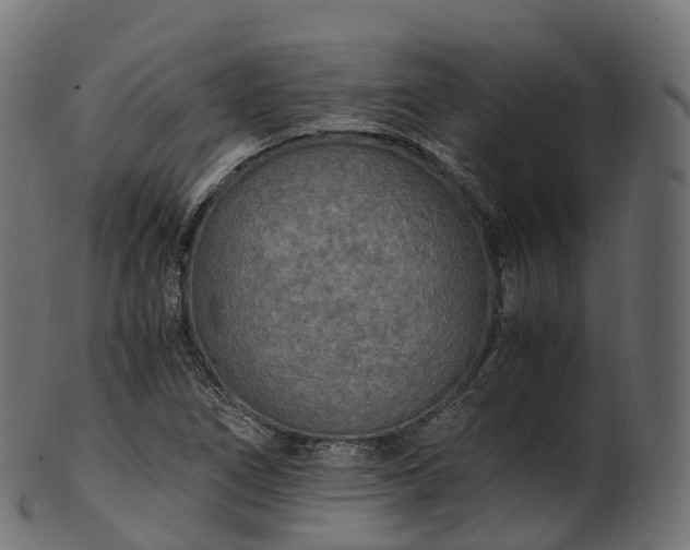 X0000101121266200807031755