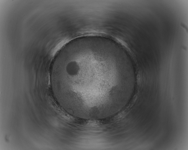X0000101121267200807031755